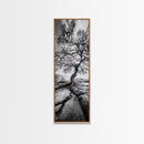 Wisdom Oak Tree, Forest Roots, Ancient Energy, Framed Canvas Print, Rustic Living Room Wall Art, Nature Inspired, Boho Woodland Art