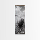 Weathered Buoy Ball, Rustic Coastal, Beach Decor, Nautical Minimalism, Framed Canvas Print, Bathroom Wall Art, Ocean Inspired Design