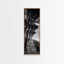 Windy Forest Trail, Dark Coastal Trees, Atmospheric Nature, Framed Canvas Print, Fall Living Room Wall Art, Moody Landscape Aesthetic