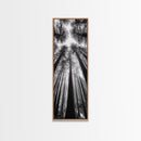 Redwood Forest, Sunlight Trees, Nature Canopy, Canvas Print, Serene Woodland Art, Cabin Wall Decor, Black and White Forest Art, Bedroom Wall Art