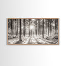 Winter Pine Forest, Sunlight Snow Trees, Nature Landscape Photography, Framed Canvas Print, Cabin Decor, Minimalist Wall Art