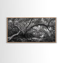 Mangrove Roots, Twisted Forest, Wild Nature, Moody Jungle, Framed Canvas Print, Rustic Living Room Art, Woodland Decor, Boho Vibes