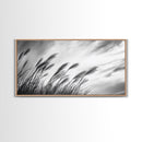 Pampas Grass, Wind Blown, Sky Motion, Autumn Field, Framed Canvas Print, Boho Wall Art, Bedroom Fall Botanical Decor, Living Room Decor
