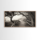 Ocean Cliff Path, Framed Trail Trees, Coastal Escape Scene, Framed Canvas Print, Boho Bedroom or Peaceful Hallway Wall Art, Entryway Accent