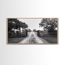 Rustic Gate Trail, Southern Country Road, Tree-Lined Entry, Framed Canvas Print, Farmhouse Style, Entryway or Office Wall Art