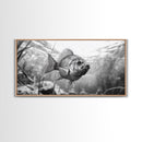 Underwater Fish, Nature Photography, Lake Life Scene, Freshwater Animal, Framed Canvas Print, Bathroom Wall Art, Minimalist Decor