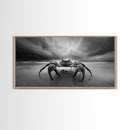 Fierce Crab, Coastal Storm, Ocean Mood, Dramatic Shore, Framed Canvas Print, Bathroom Wall Art, Beach House Decor, Marine Photography