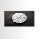 Sand Dollar, Beach Detail, Minimalist Sea, Calm Nature, Framed Canvas Print, Bathroom Wall Art, Coastal Boho Decor, Ocean Zen Style