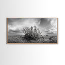 Desert Coral Plant, Dry Earth Botanical, Surreal Nature Texture, Minimal Wild Scene, Canvas Print, Office Wall Art, Earthy Decor