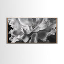 Floral Closeup, Petal Texture, Macro Bloom, Canvas Print, Botanical Bedroom Wall Art, Black And White Flower, Modern Nature Photography
