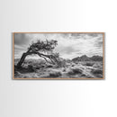 Twisted Tree, Desert Landscape, Surreal Nature, Canvas Print, Rustic Western Decor, Living Room Wall Art, Moody Earth Tones, Fall Aesthetic