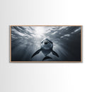Underwater Dolphin, Ocean Wildlife Art, Marine Animal Decor, Coastal Vibes, Canvas Print, Bathroom Wall Art, Nautical Themed Room