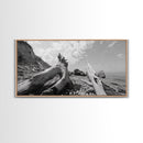 Coastal Driftwood, Beach Landscape, Pebble Shore Scene, Natural Decor Accent, Canvas Print, Relaxed Vibe, Entryway or Den Wall Art