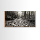 Forest Stream, Tranquil Woodland Path, Autumn Nature Photography, Framed Canvas Print, Rustic Cabin Decor, Living Room Wall Art