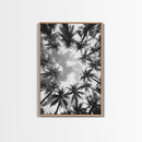 Palm Tree Sky, Tropical Canopy, Black and White Island View, Jungle Overhead Scene, Framed Canvas Print, Bathroom Wall Art, Beach Boho Decor
