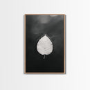 Floating Leaf, Still Water, Nature Simplicity, Autumn Calm, Canvas Print, Minimalist Wall Art, Bathroom Decor, Scandinavian Fall Style