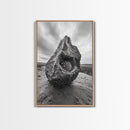 Sea Orb Rock, Coastal Texture, Ocean Shell Art, Framed Canvas Print, Beach House Wall Decor, Abstract Nature, Nautical Art Piece