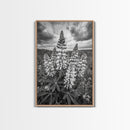 Lupine Flower Field, Bold Floral, Spring Nature Scene, Framed Canvas Print, Boho Living Room Art, Botanical Wall Decor