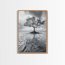 Lonely Tree, Coastal Roots, Ocean Breeze, Framed Canvas Print, Entryway Wall Art, Moody Nature Photography, Minimalist Earth Tones