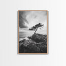 Lone Tree, Cliffside Ocean, Windy Coast Art, Framed Canvas Print, Bedroom Wall Art, Modern Nature Photography, Coastal Minimalist Decor