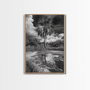 Tropical Palm, Reflected Sky, Nature Tranquility, Canvas Print, boho wall decor, bathroom art, tropical reflection photography