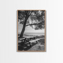 Seaside Bench, Peaceful Escape, Shaded Picnic, Canvas Print, nature photography, coastal wall art, relaxing ocean decor, Minimalist Decor