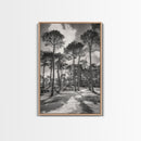 Forest Shadows, Tall Pines, Natural Light, Framed Canvas Print, woodland landscape, rustic cabin decor, autumn forest art