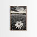 Wildflower Field, Daisy Bloom, Summer Meadow, Framed Canvas Print, Boho Botanical Wall Art, Bedroom Decor, Earthy Nature Photography