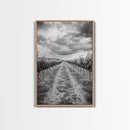 Vineyard Rows, Cloudy Skies, Countryside Path, Canvas Print, Farmhouse Wall Art, Kitchen or Dining Decor, Rustic Landscape Photo