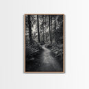 Fern Pathway, Enchanted Forest, Woodland Trail, Framed Canvas Print, Nature Walk Wall Art, Boho Bedroom Decor, Moody Landscape Style