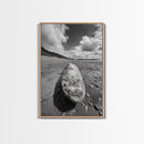 Whale Bone, Coastal Find, Ocean Relic, Framed Canvas Print, Seaside Wall Art, Beach House Decor, Nautical Minimalist Photography