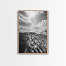 Underwater Scene, School of Fish, Ocean Photography, Split Shot Water, Framed Canvas Print, Bathroom Wall Art, Coastal Decor