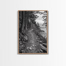 Forest Pathway Trail, Wilderness Escape, Rustic Nature, Black and White Framed Canvas Print, Cozy Cabin or Entryway Wall Art