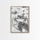 Sand Crab, Beach Macro, Ocean Critter Art, Framed Canvas Print, Coastal Bathroom Decor, Beach House Wall Art, Nature Close-Up