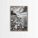 Flower Shore, Peaceful Beach, Moody Sky, Petal Scape, Framed Canvas Print, romantic beach art, bedroom decor, black and white floral print