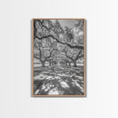 Oak Tree Tunnel, Southern Charm, Shaded Pathway, Timeless Trees Framed Canvas Print, farmhouse wall decor, hallway landscape art