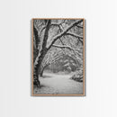 Snowfall Trees, Winter Forest, Nature Pathway, Canvas Print, Holiday Season Decor, Cozy Living Room or Cabin Wall Art