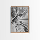 Coastal Snow, Barren Tree, Frozen Shoreline, Canvas Print, Serene Winter Decor, Entryway or Hallway Minimalist Wall Art