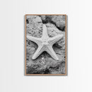 Starfish Closeup, Coastal Shell, Beach Texture, Framed Canvas Print, Bathroom or Ocean Nursery Decor, Minimal Beach Art