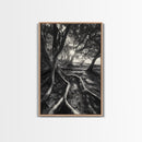 Sunlit Forest Roots, Tree Shadows, Golden Light, Framed Canvas Print, Boho Nature Wall Art, Bedroom Wall Decor, Earthy Tones