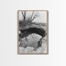 Reflected Trees Pool, Black White Nature, Moody Autumn Wall Art, Rustic Minimalist Style, Framed Canvas Print, Entryway Home Decor