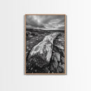 Rocky Terrain Driftwood, Weathered Wood Scene, Outdoor Adventure Art, Modern Rustic Decor, Framed Canvas Print, Earthy Tones Photography