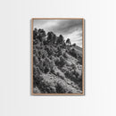 Hillside Forest, Peaceful Pines, Mountain Light, Framed Canvas Print, Nature Wall Art, Cabin Decor, Woodland Landscape Scene