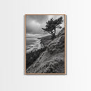 Lone Tree, Ocean Bluff, Windy Coastline, Canvas Print, Coastal Landscape Wall Art, Moody Nature Decor, Minimalist Vibe, Coastal Wall Art