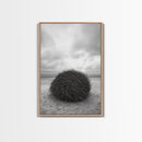 Windswept Beach Nest, Natural Sculpture, Driftwood Ball, Solitude Scene, Canvas Print, Minimalist Wall Art, Neutral Bedroom Decor