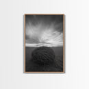 Twilight Field Nest, Tumbleweed Art, Desert Calm, Grassy Plains, Framed Canvas Print, Entryway Wall Art, Boho Nature Landscape