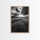 Golden Grass Field, Dramatic Sunset, Autumn Skies, Nature Movement, Framed Canvas Print, Fall Landscape Art, Living Room Decor