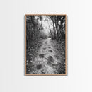 Forest Trail Path, Woodland Escape, Nature Walk, Adventure Art, Framed Canvas Print, Office Wall Decor, Autumn Vibes, Rustic Nature Style