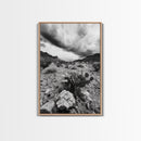 Desert Storm, Cactus Scene, Black White Art, Canvas Print, Southwest Wall Art, Earthy Tones Decor, Boho Style, Entryway Wall Accent
