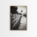 Palm Fence, California Pathway, Suburban Tranquility, Canvas Print, Outdoor Wall Art, Neutral Tones, Modern Minimalist Home Vibe